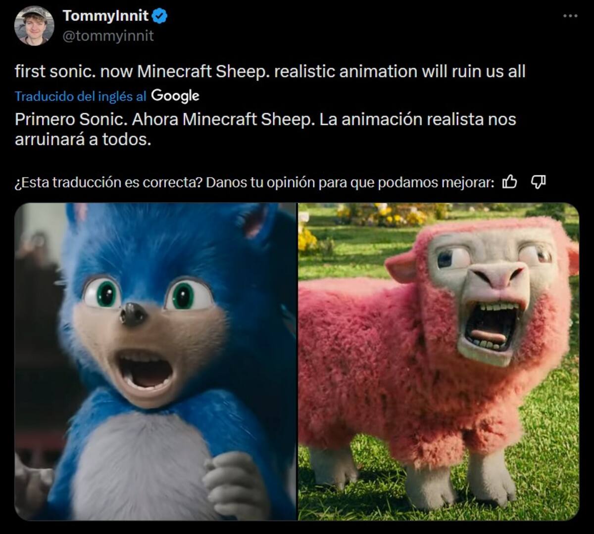 869240.jpg