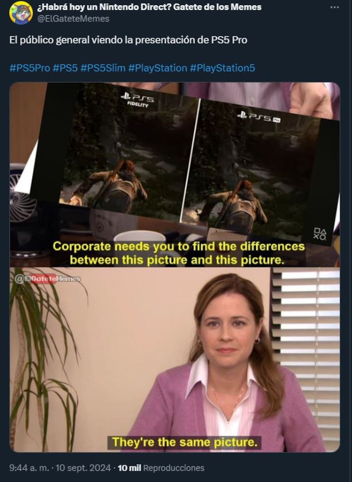 869846.jpg
