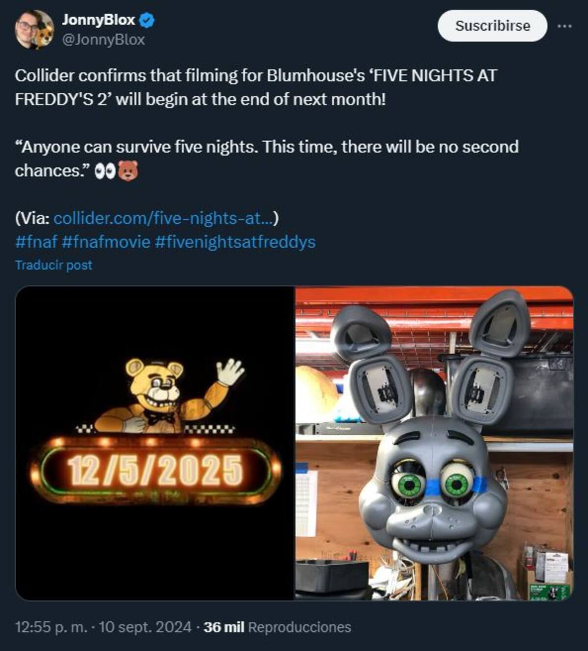869963.jpg