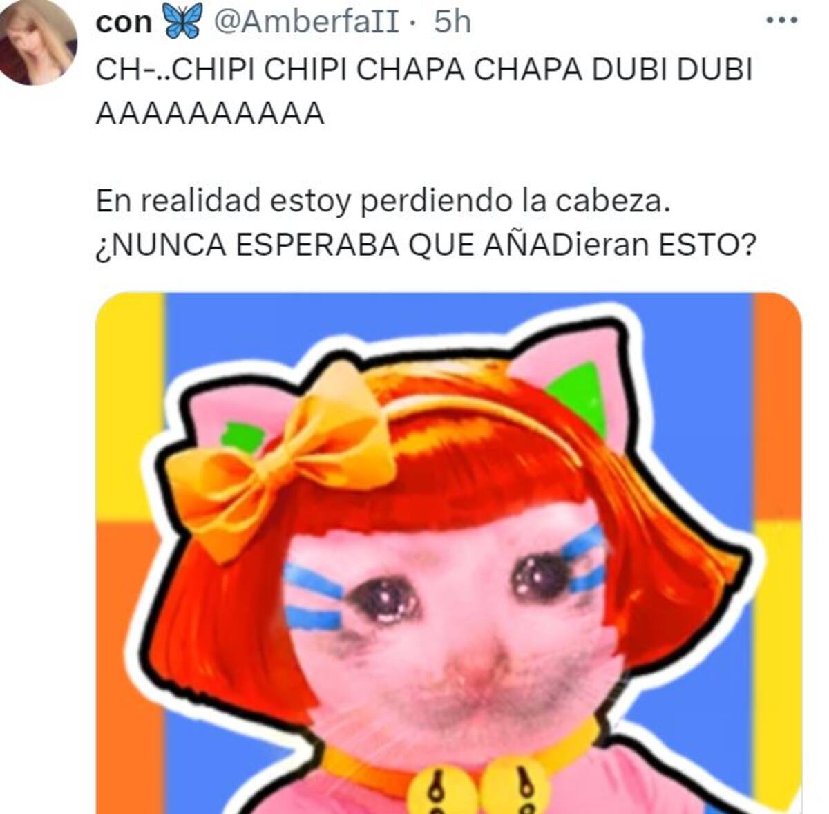 873222.jpg