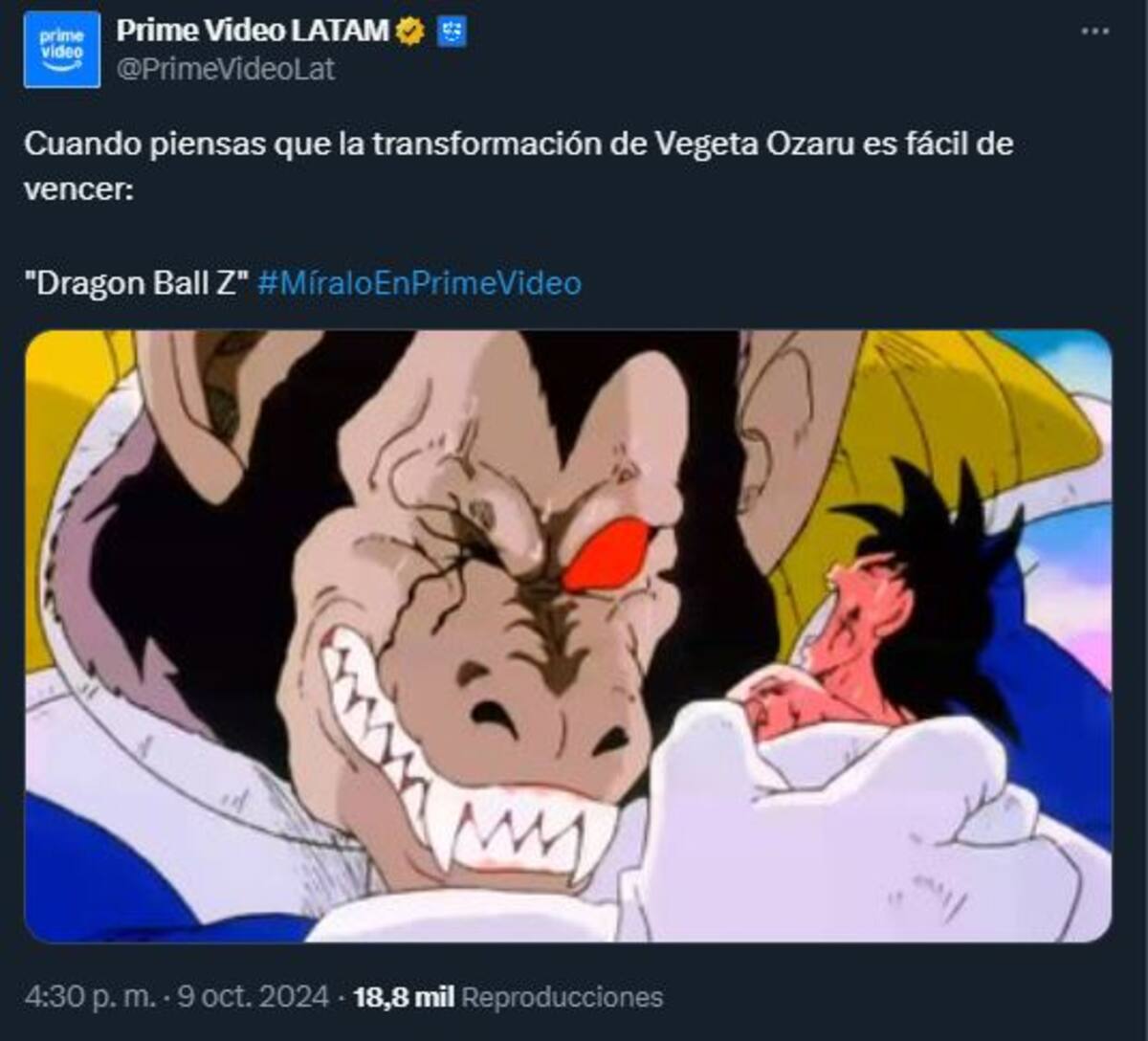874297.jpg