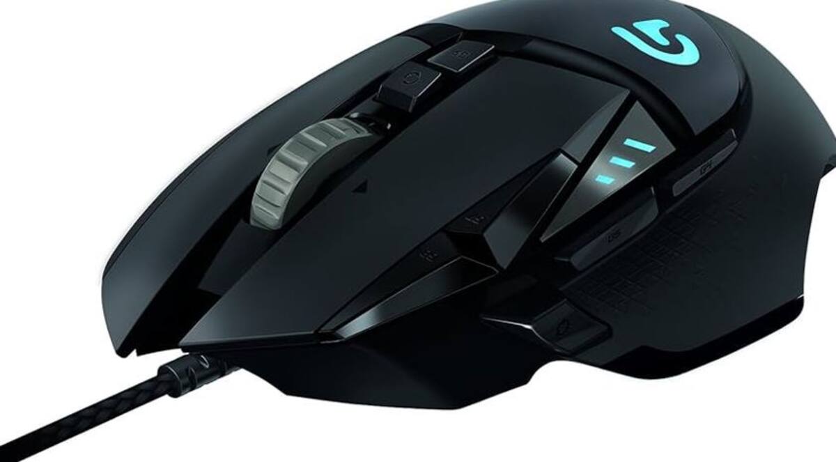 875919.jpg