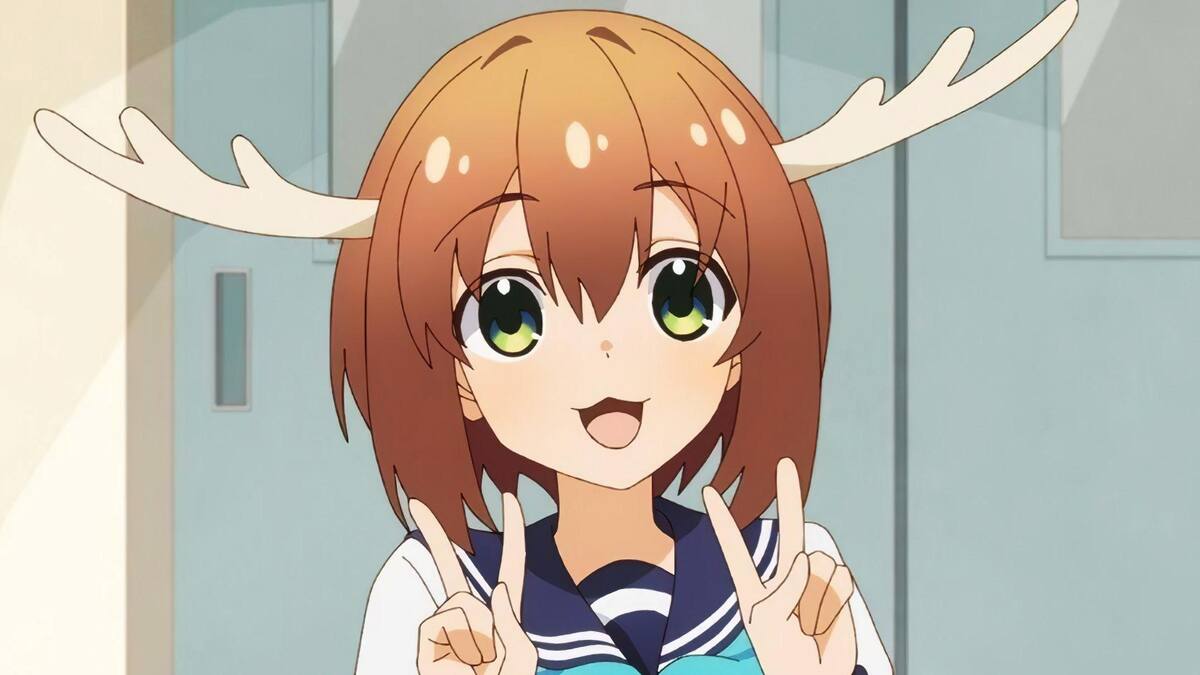 876623.jpg