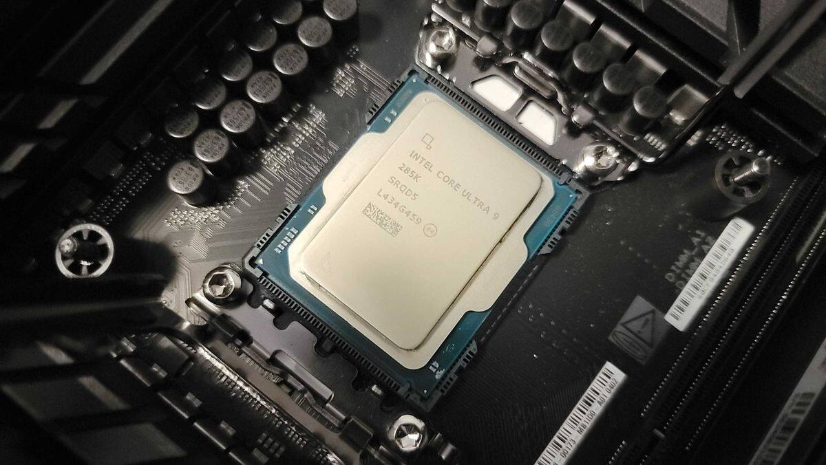 877911.jpg