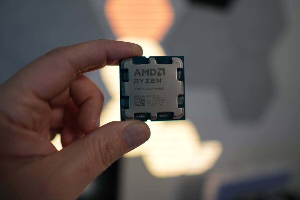 878773.jpg