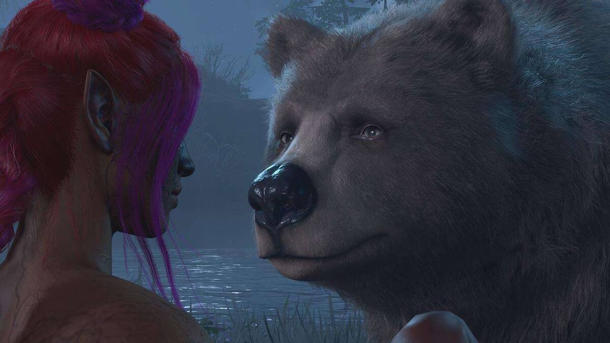 882413.jpg