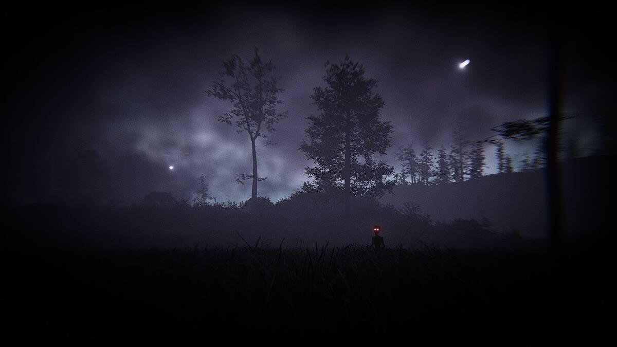 882897.jpg