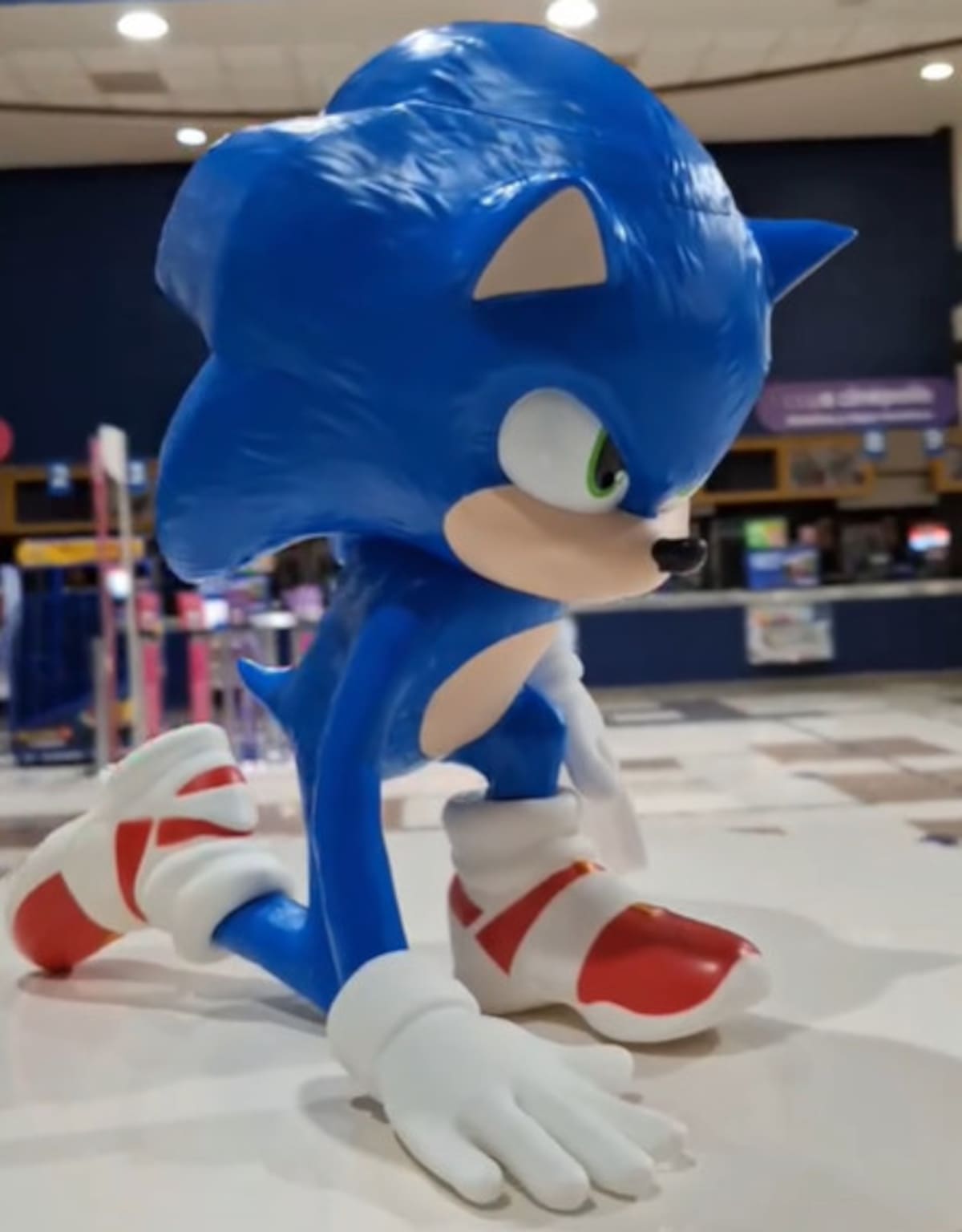 883773.jpg