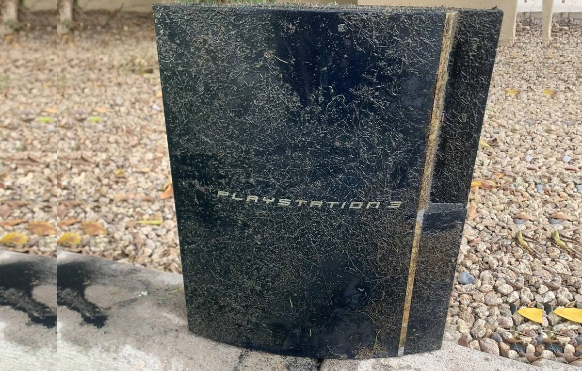 884918.jpg