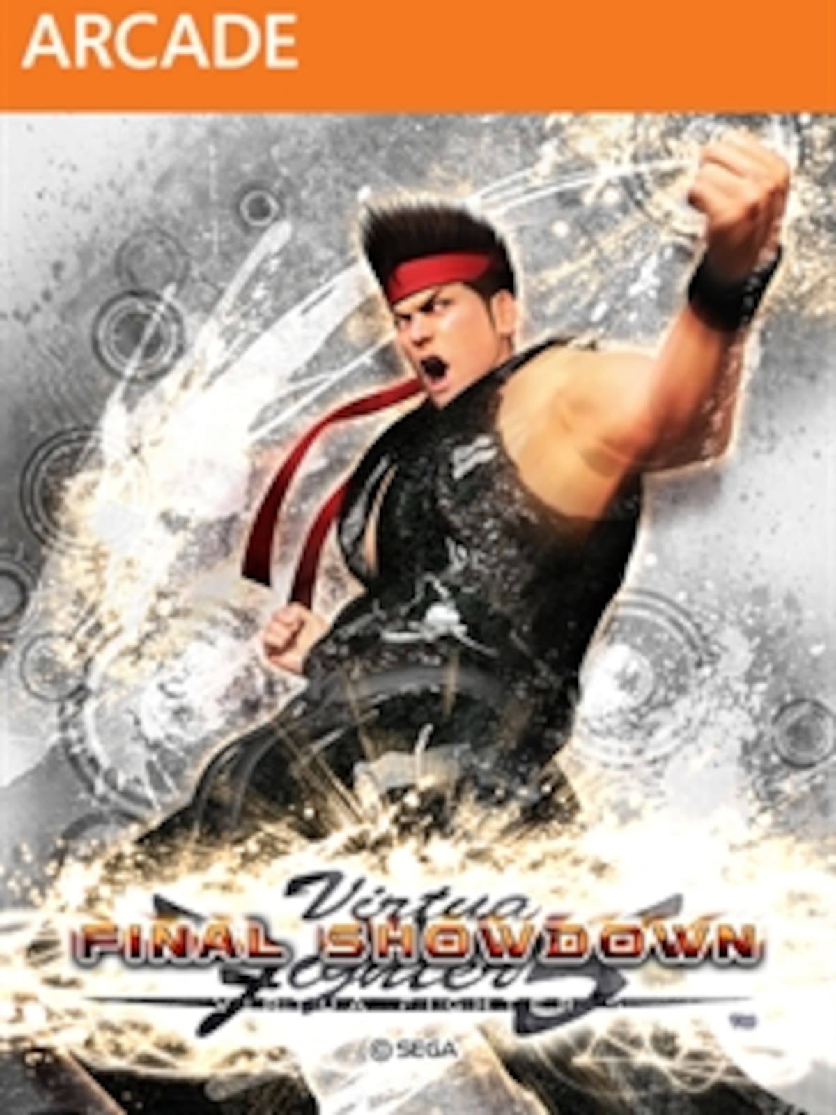 Virtua Fighter 5 Final Showdown