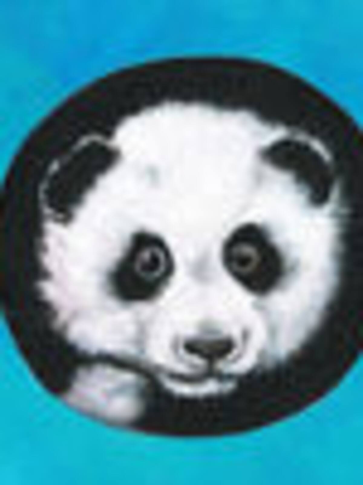 Match it: My favorite animal