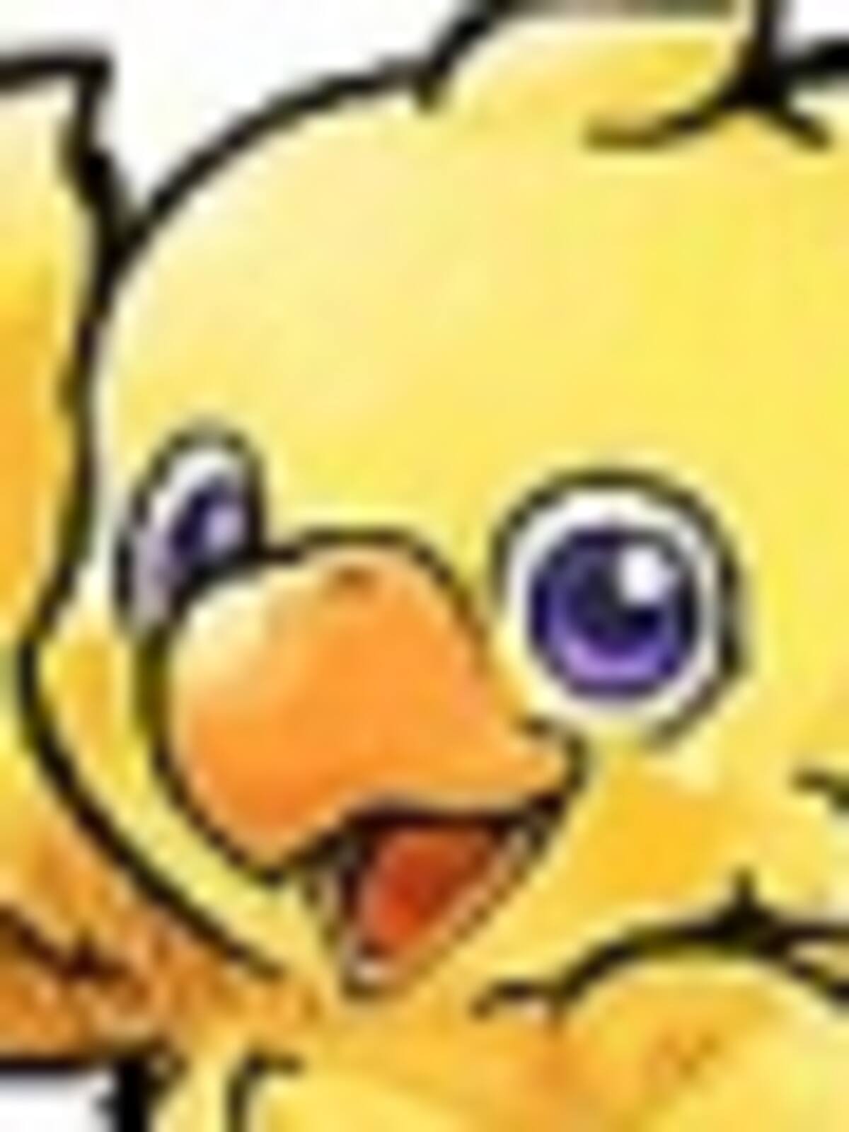 Chocobo Racing 3D