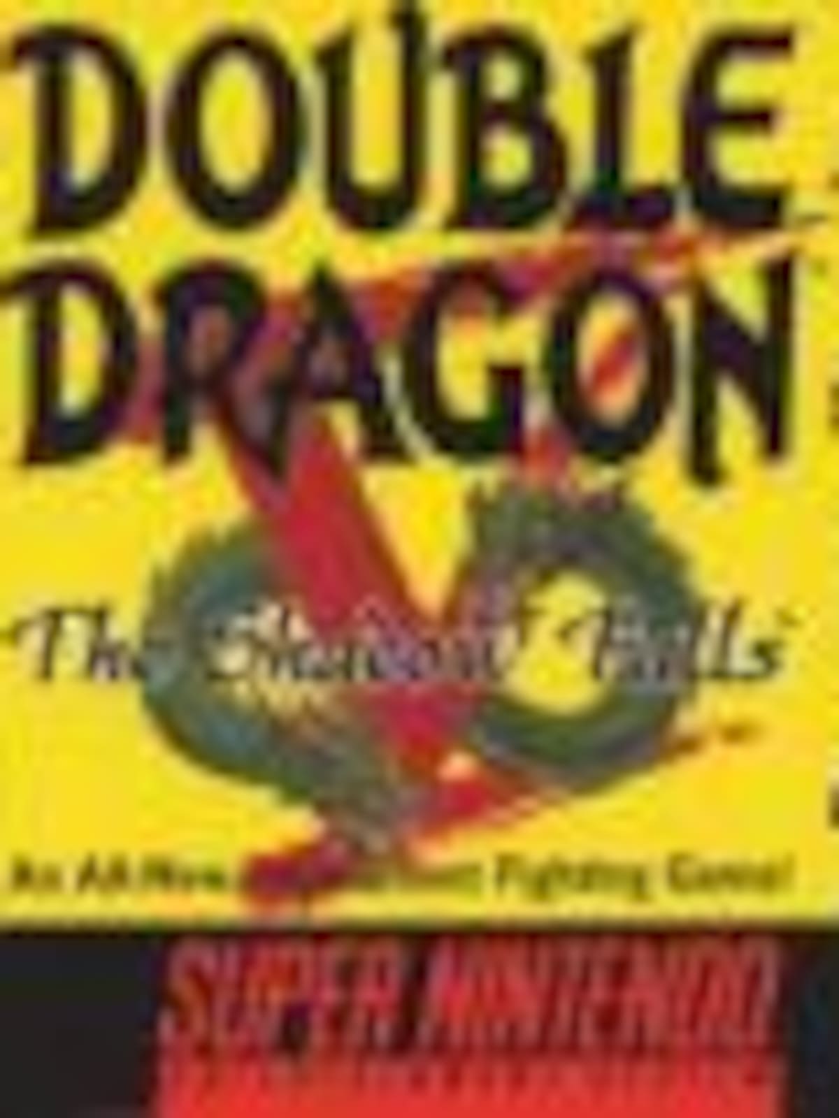 Double Dragon V: The Shadow Falls