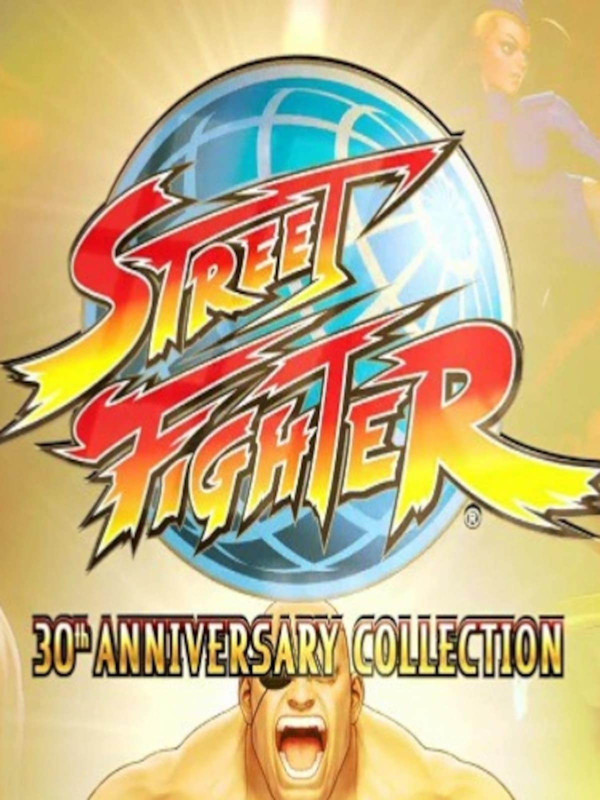 Street Fighter 30th Anniversary