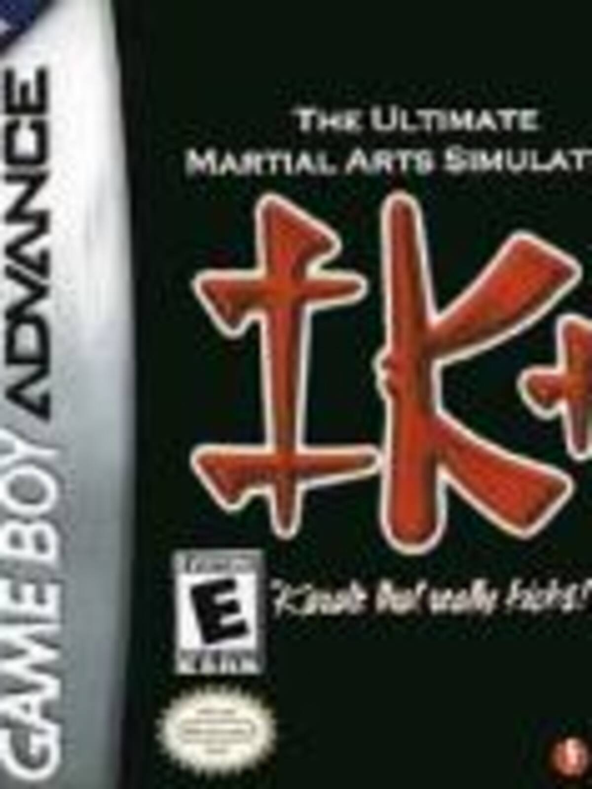 Ultimate Martial Arts Simulation