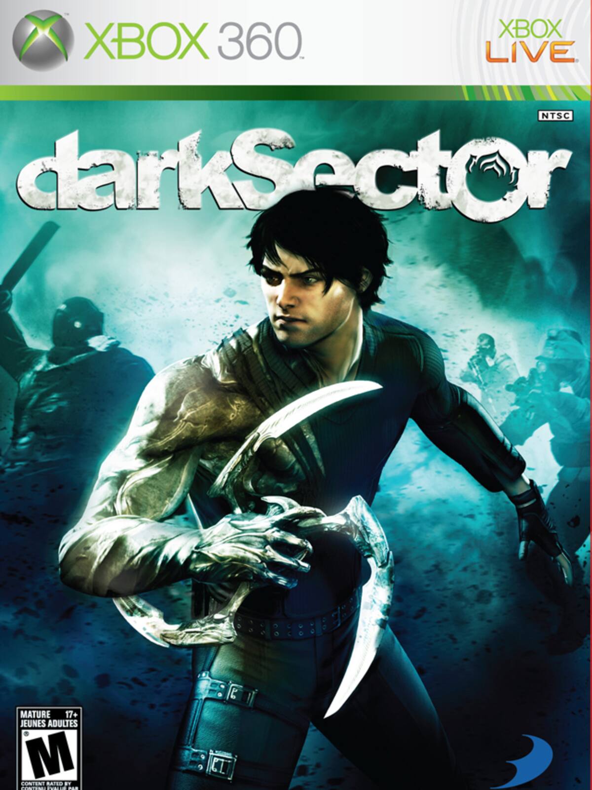 Dark Sector