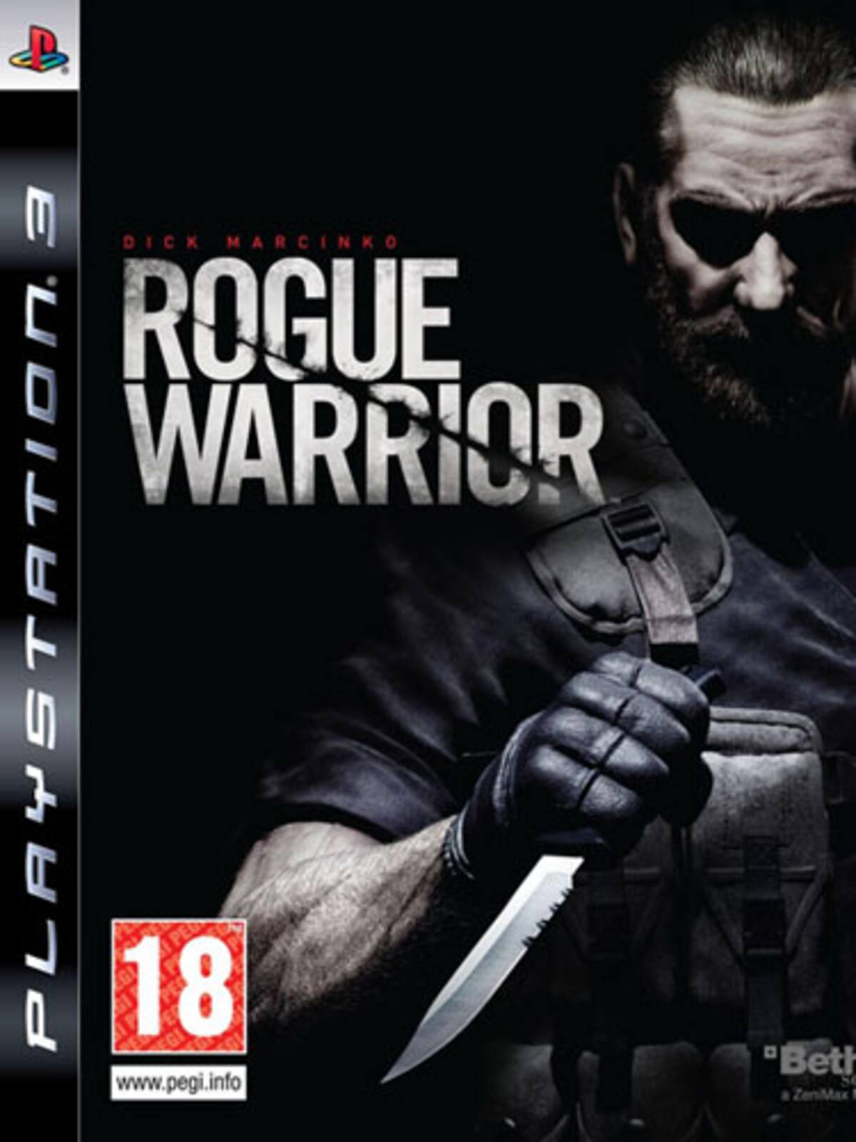 Rogue Warrior