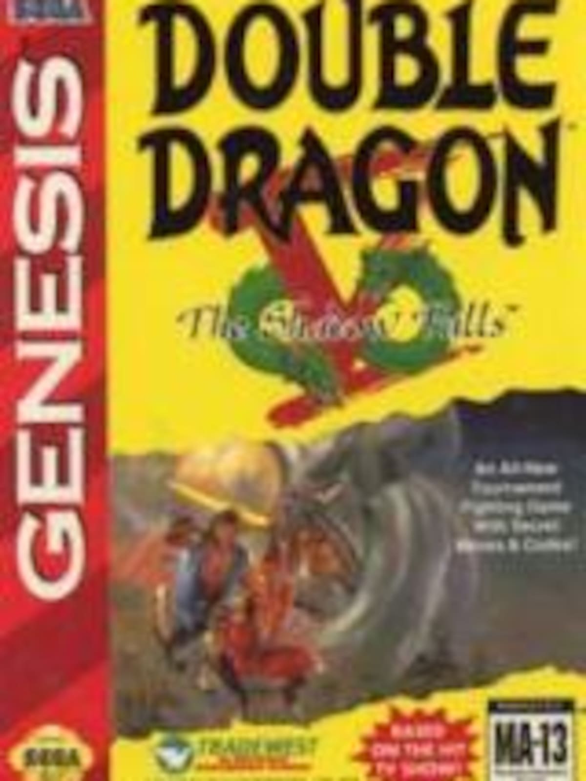 Double Dragon V: The Shadow Falls
