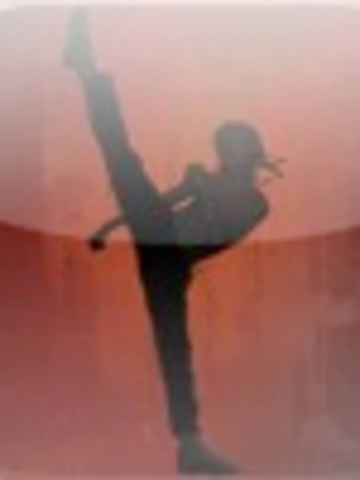 The Karate Kid