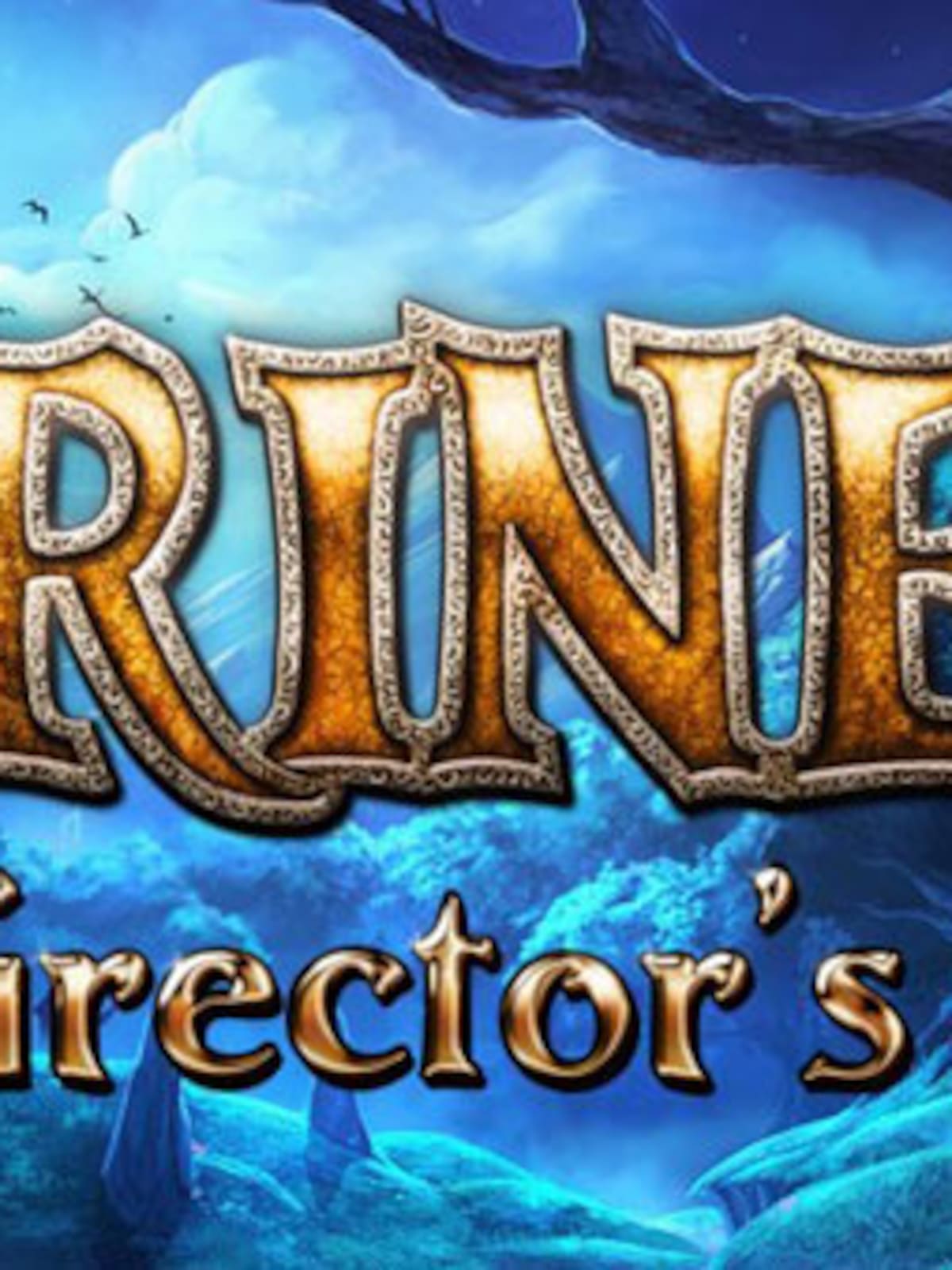 Trine 2: Director's Cut