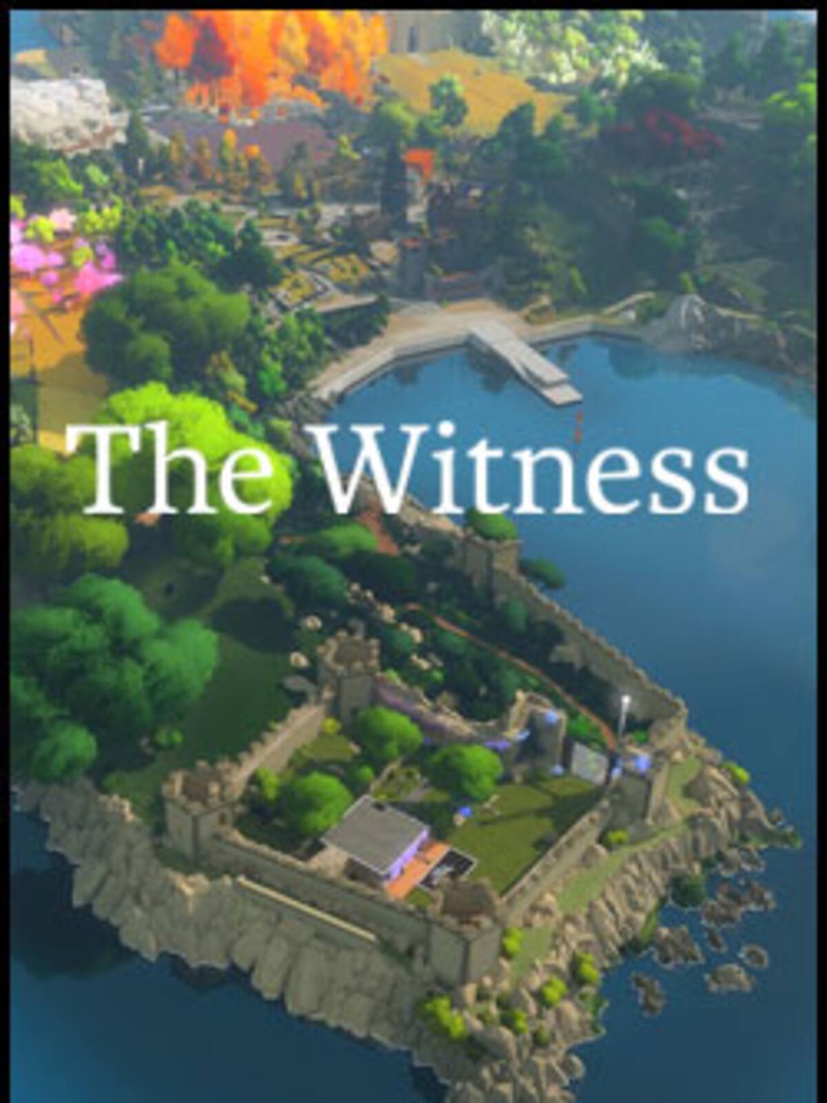 The Witness