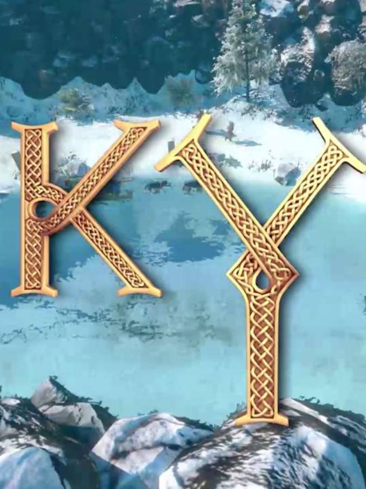 Kyn