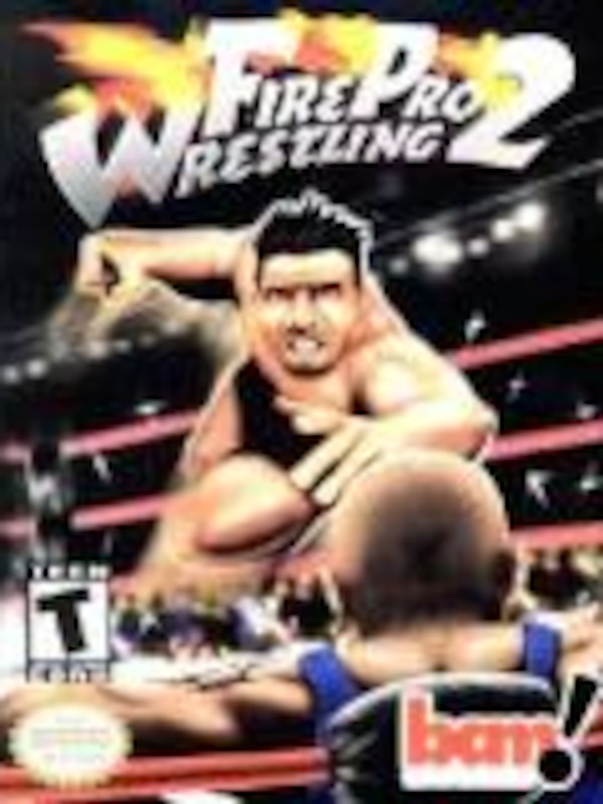Fire Pro 2 Wrestling