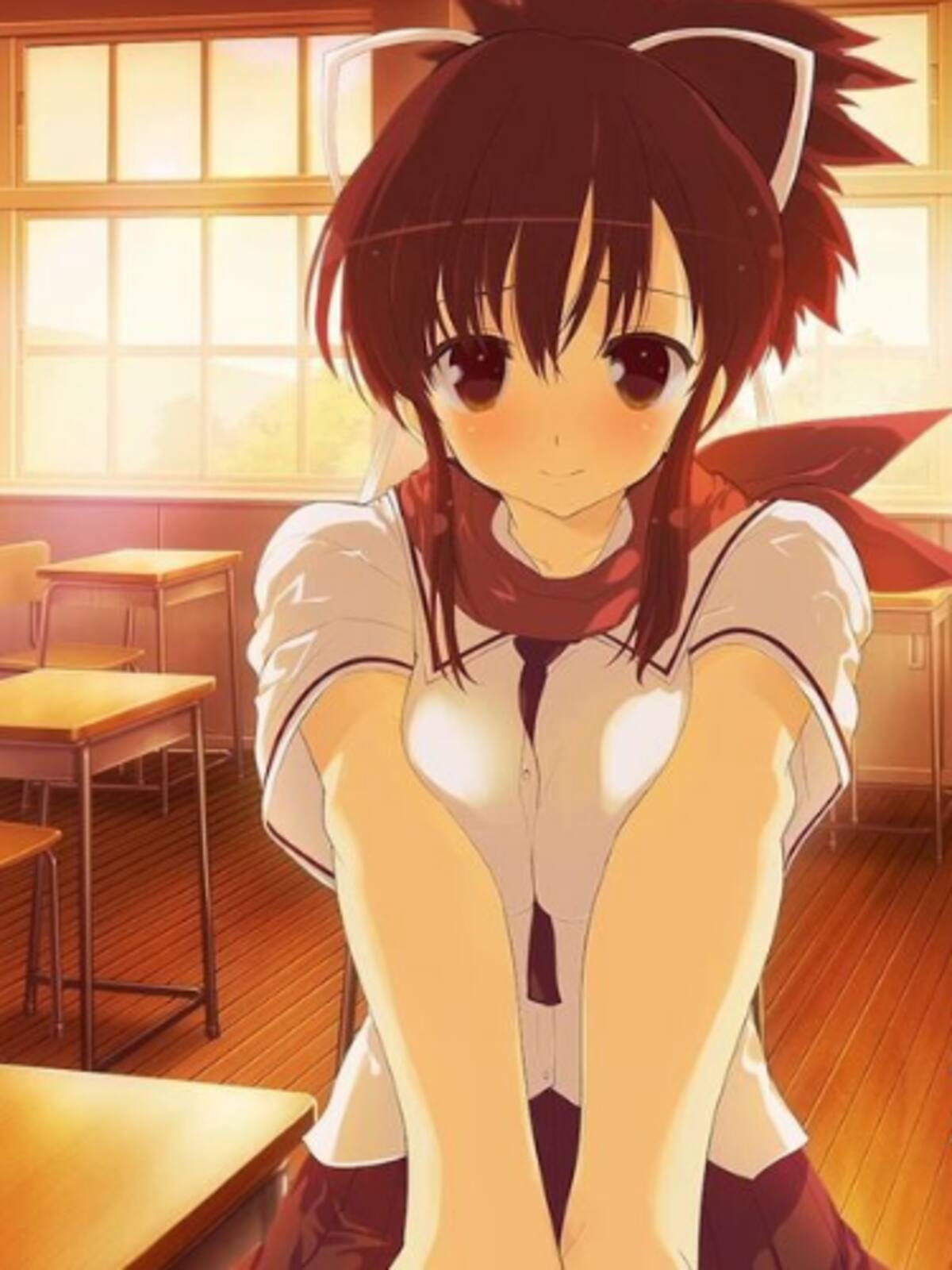 Senran Kagura Reflexions