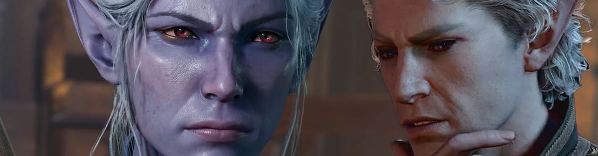 The future of the franchise will be in the hands of Wizards of the Coast, indicates Swen Vincke