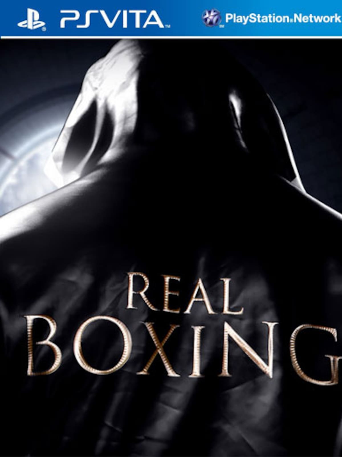 Real Boxing