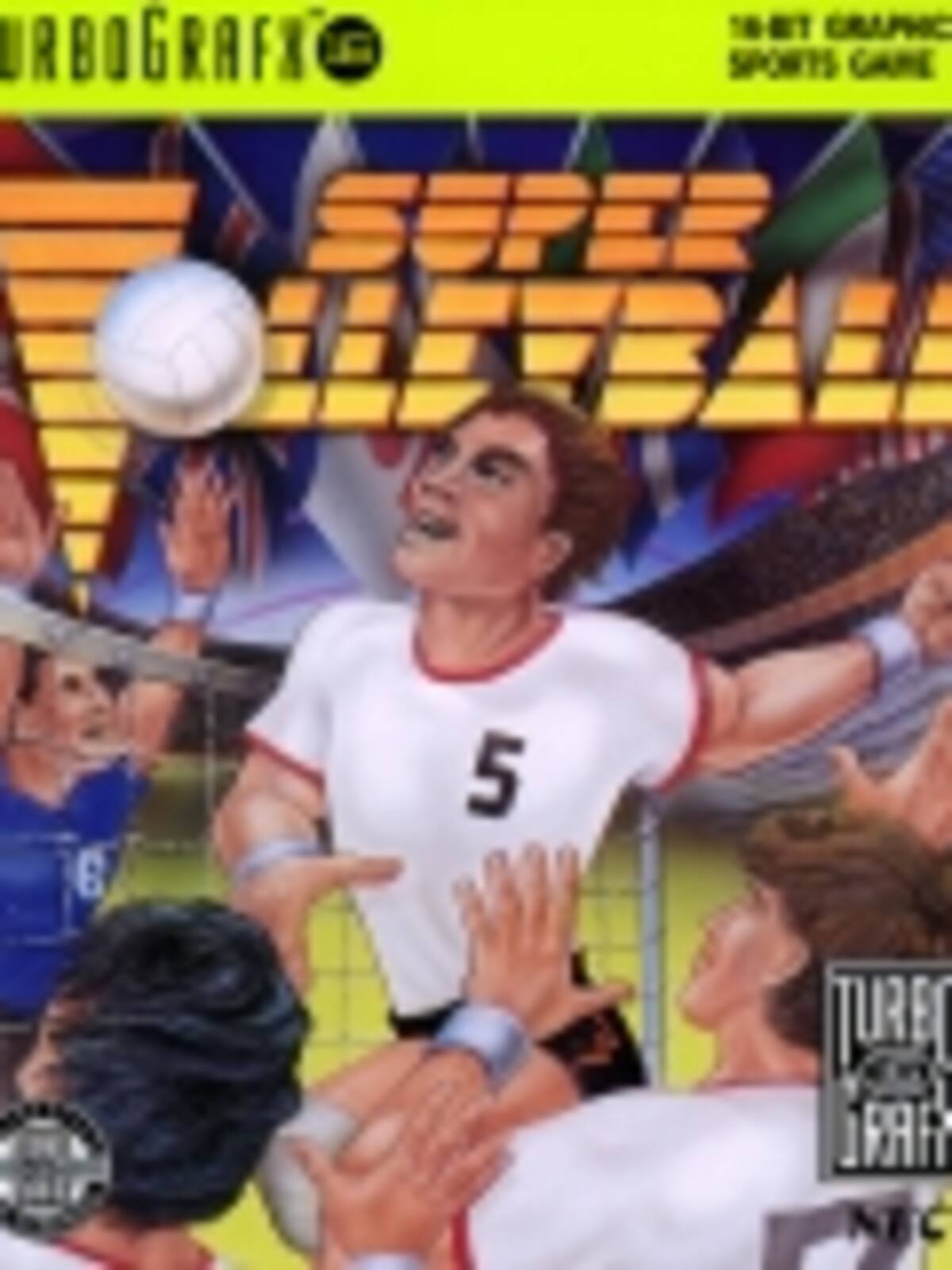 Super Volleyball