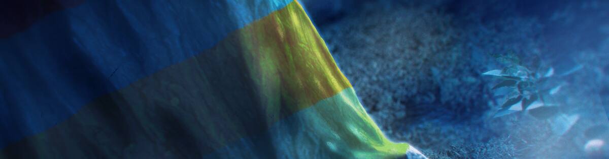 A mysterious track of paint has appeared in Paldea…