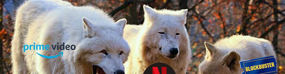 The streaming platform changed its policies and nobody is happy.