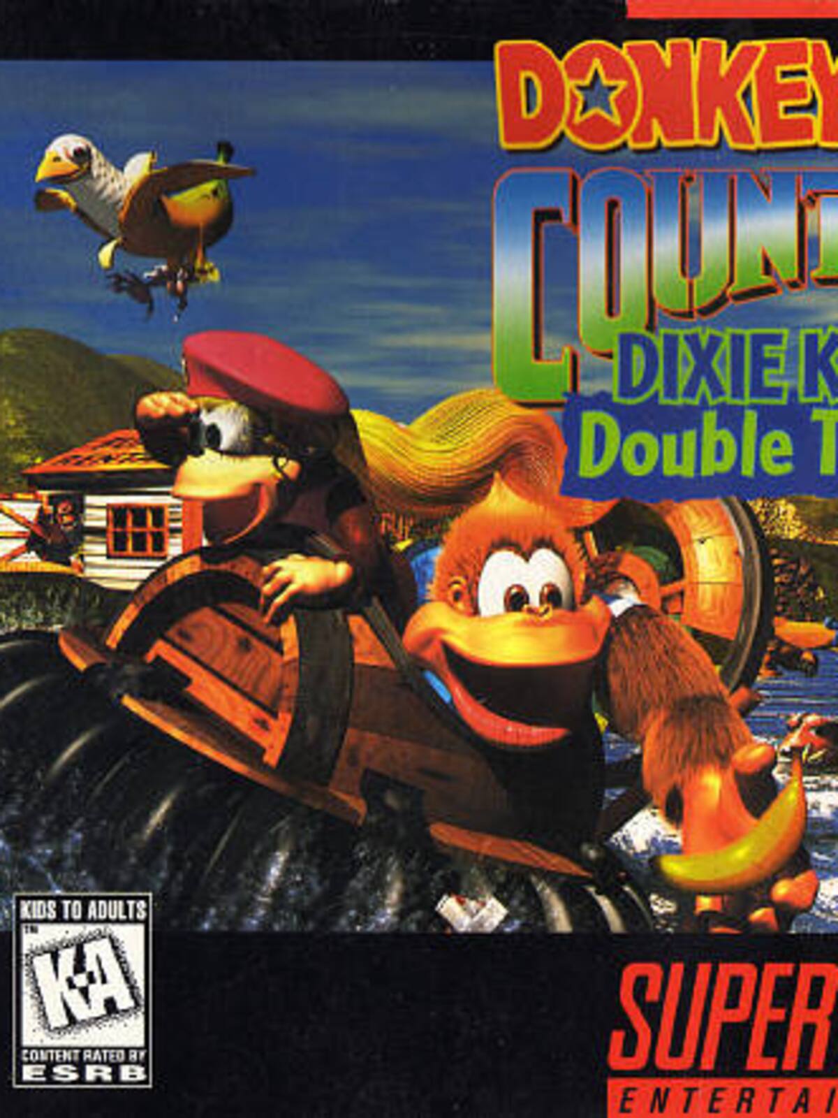 Donkey Kong Country 3