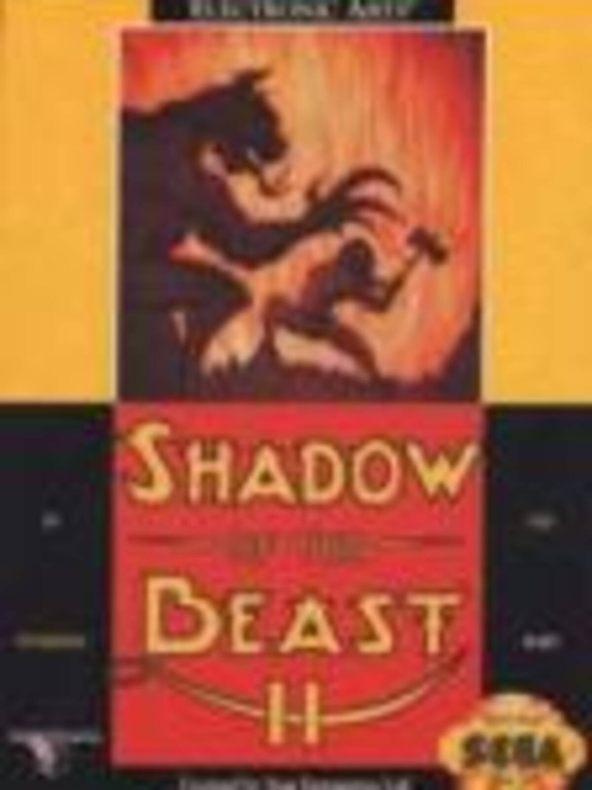 Shadow of the Beast II