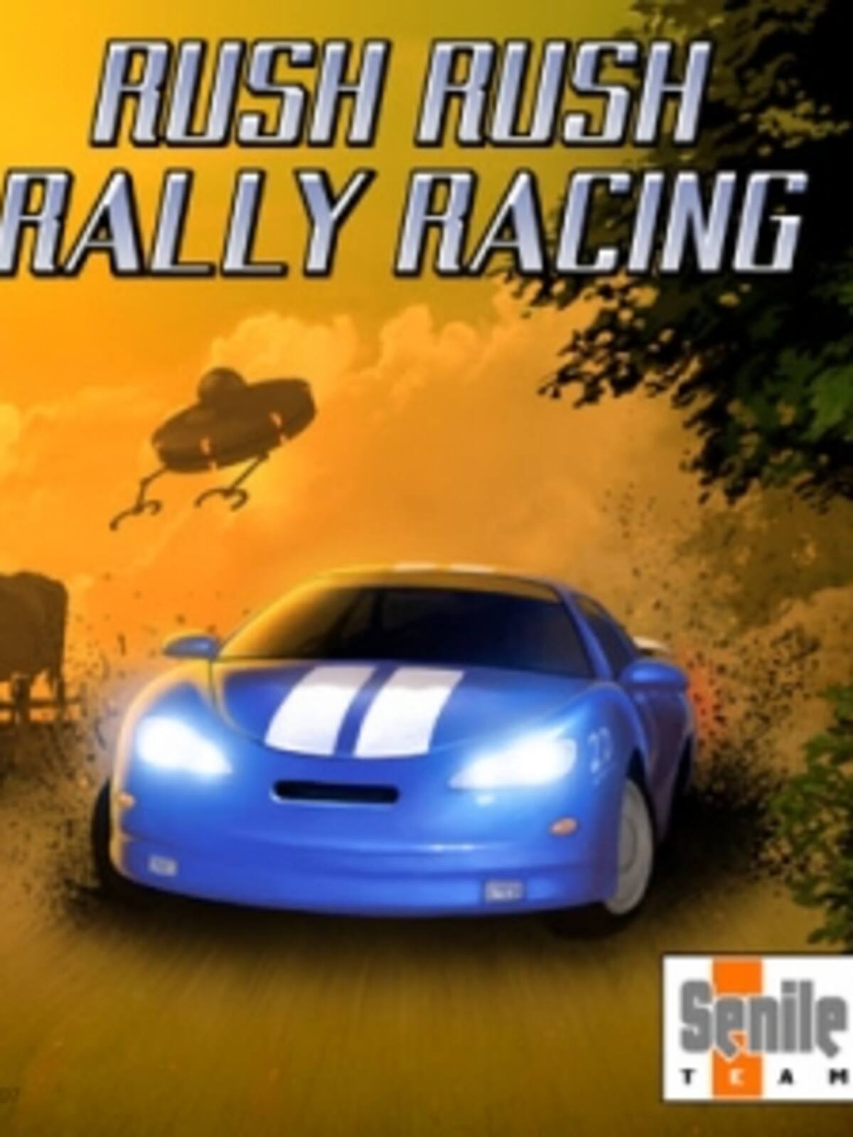 Rush Rush Rally Racing