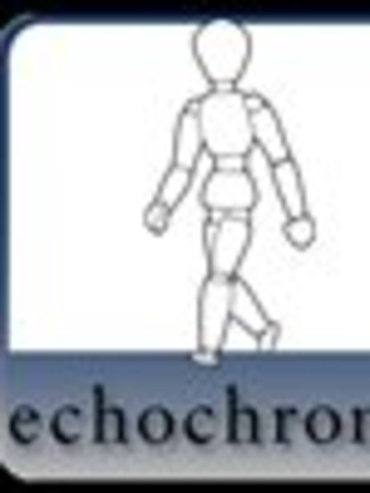 Echochrome