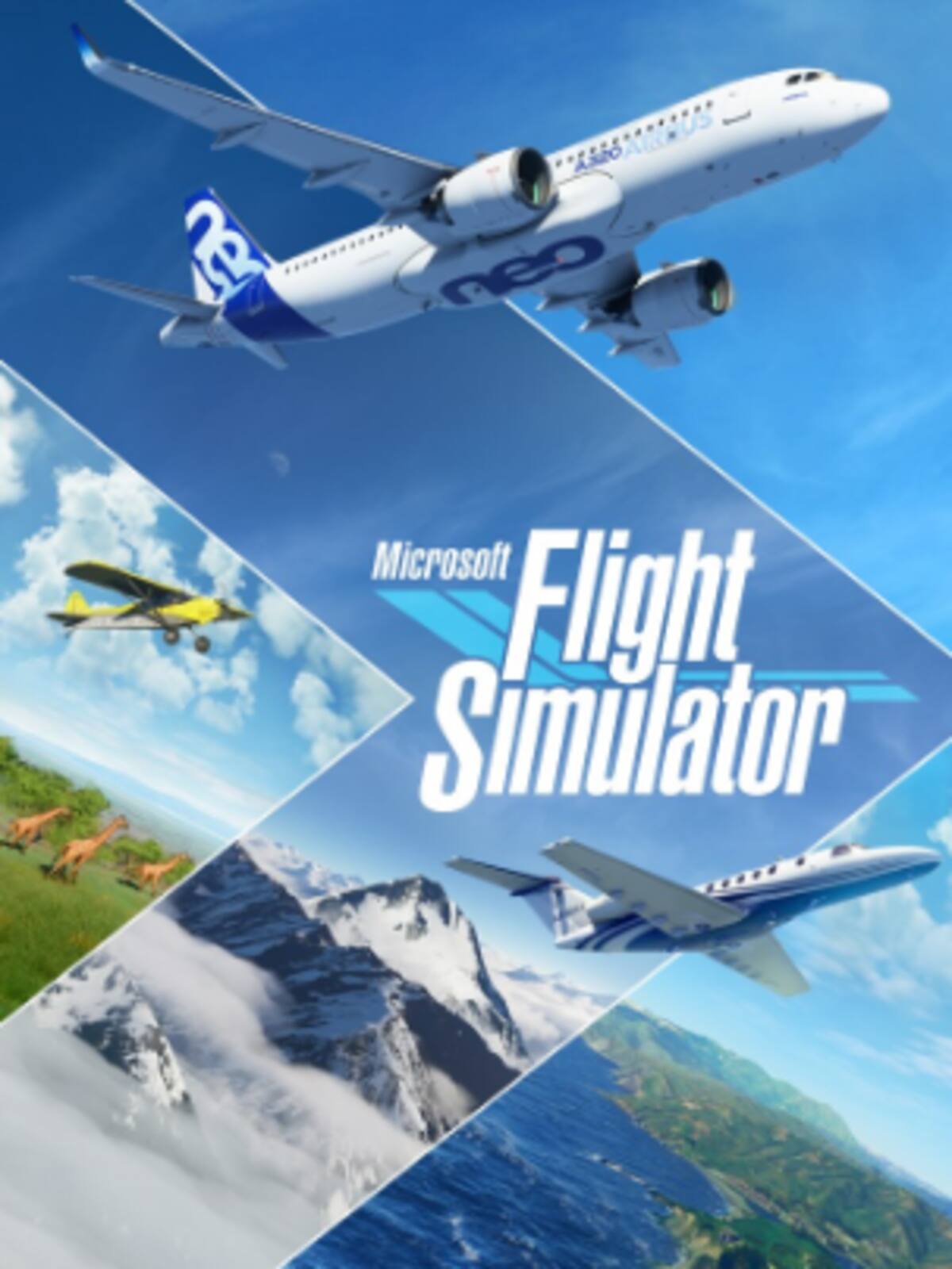 Review Flight Simulator: Volar es lo único que puedes hacer y nos encanta
