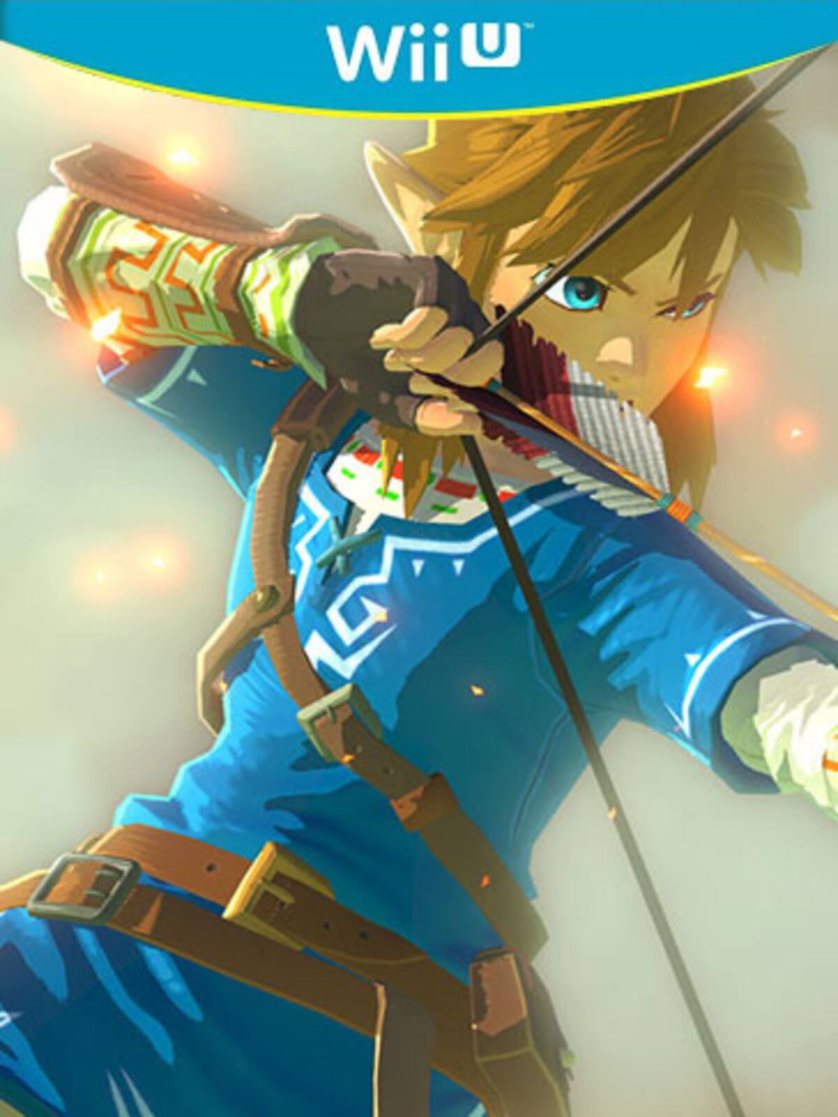 The Legend of Zelda (Wii U)