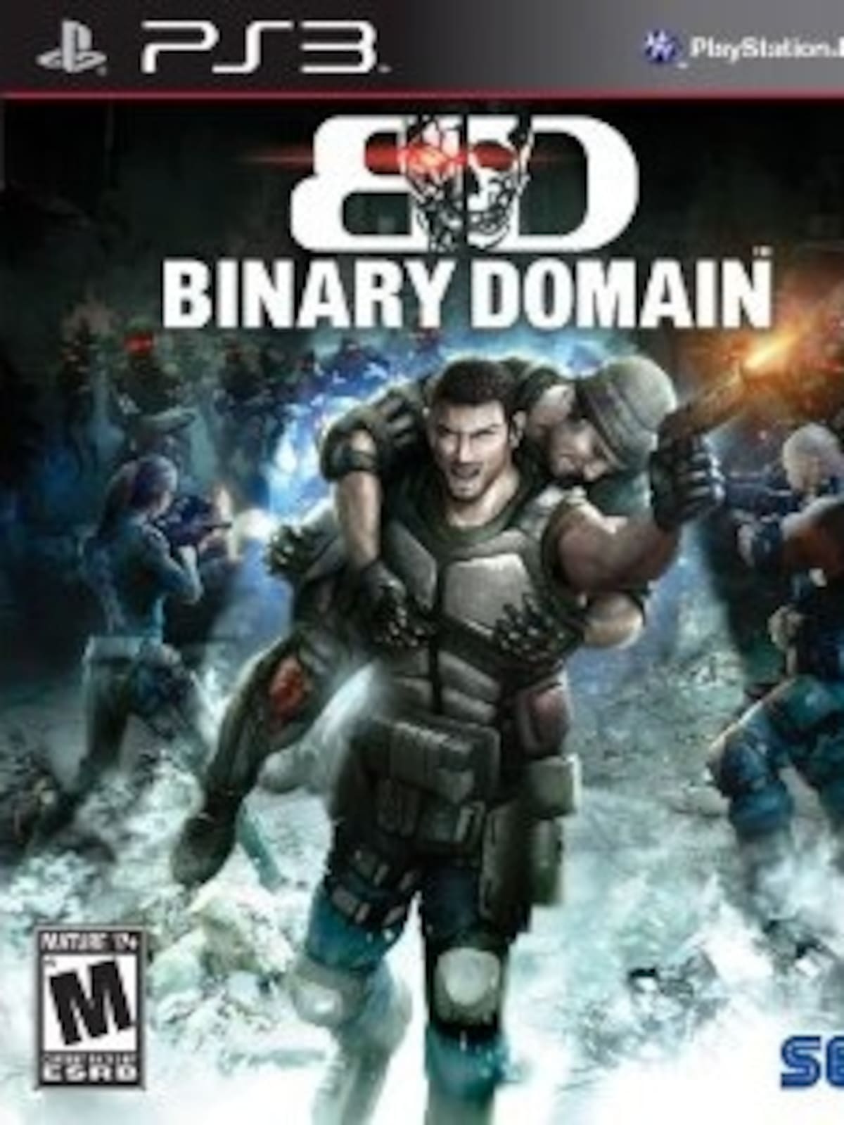 Binary Domain