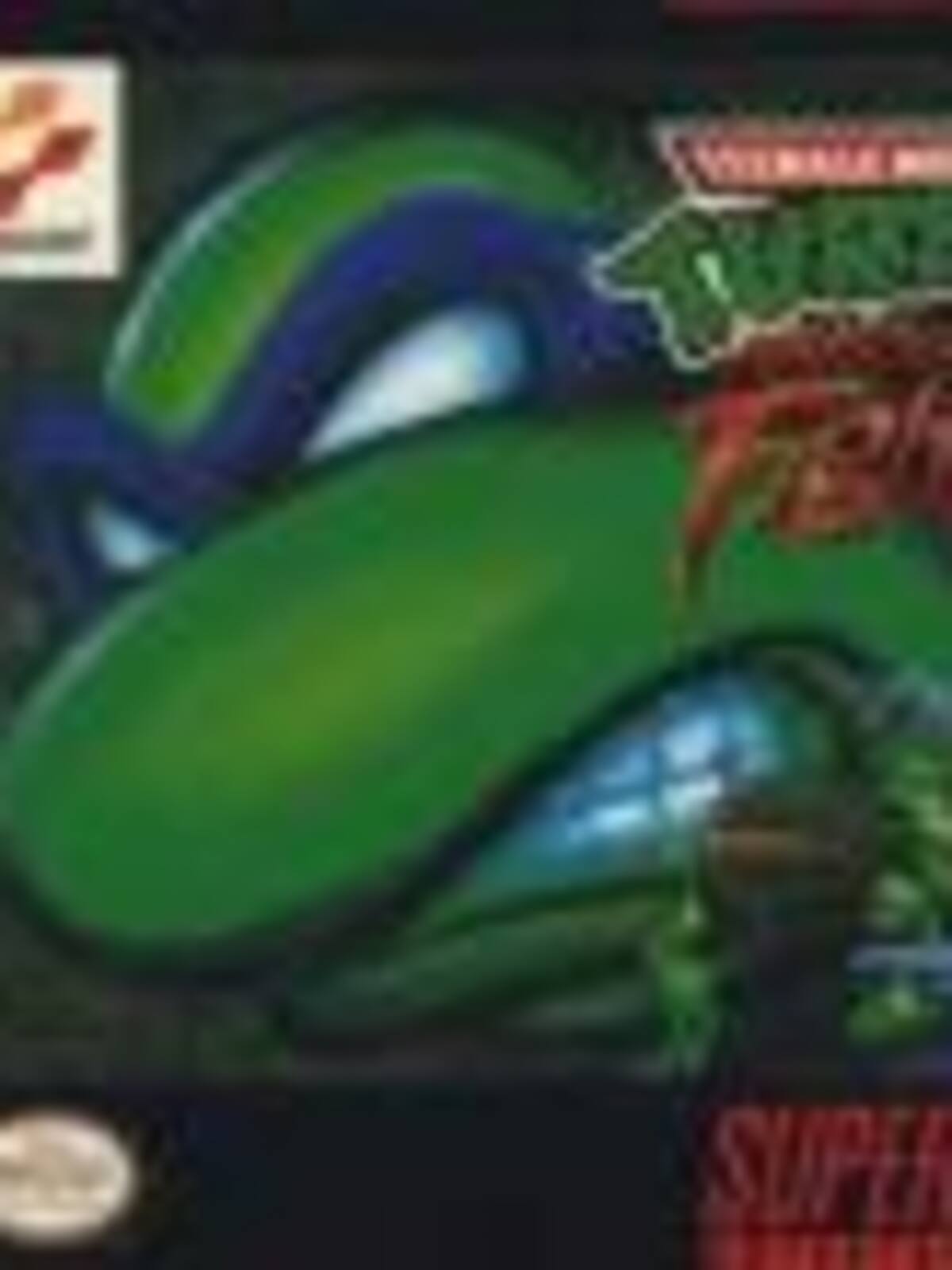 Teenage Mutant Ninja Turtles: Tournament Fighters