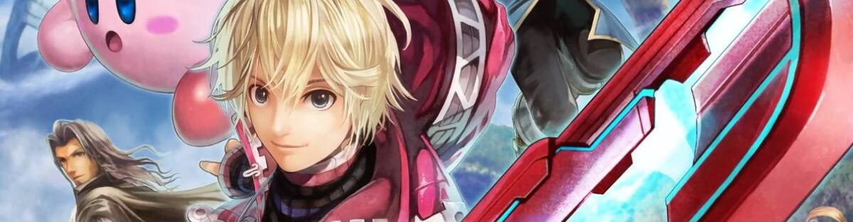 Son of a Nintendo of America employee revealed several unreleased fighters and more secrets
