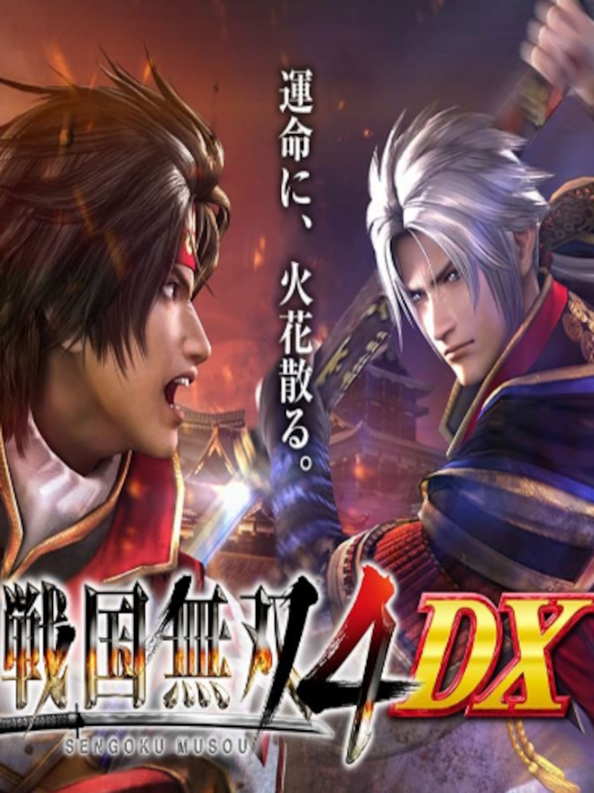 Samurai Warriors 4 DX
