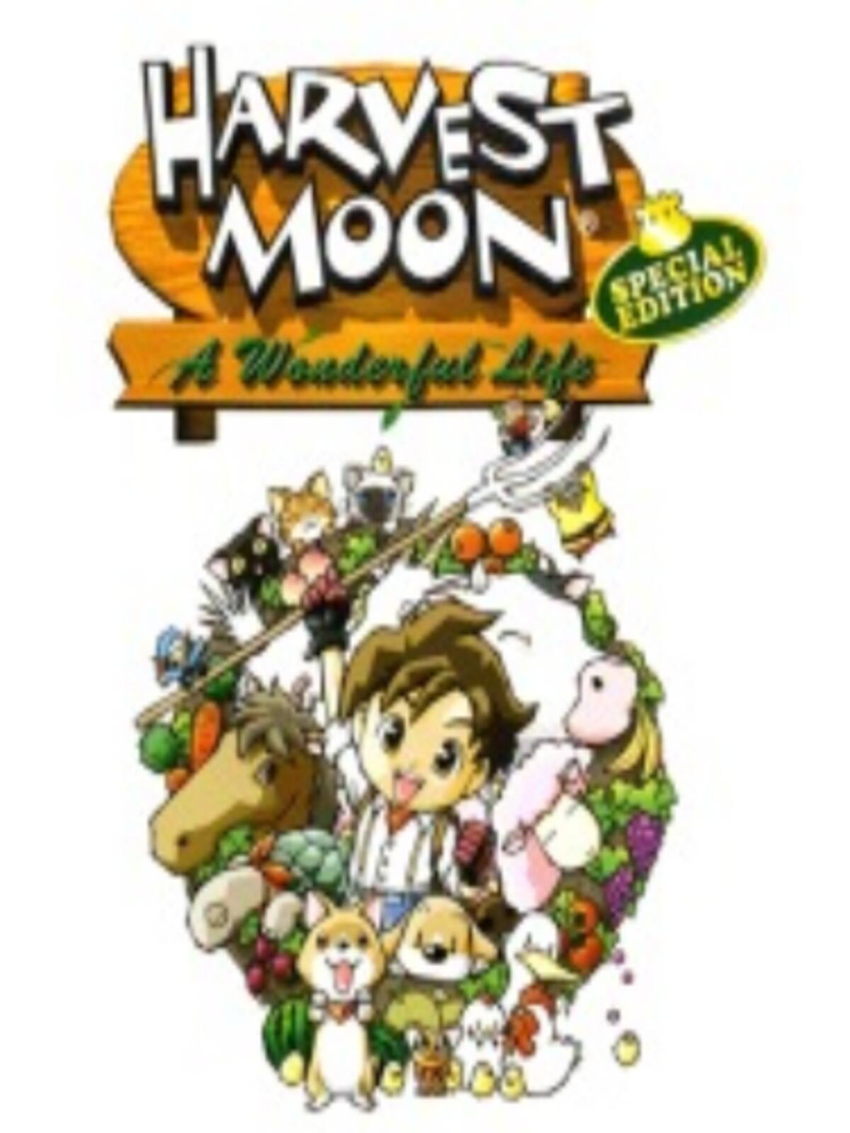 Harvest Moon: A Wonderful Life Special Edition