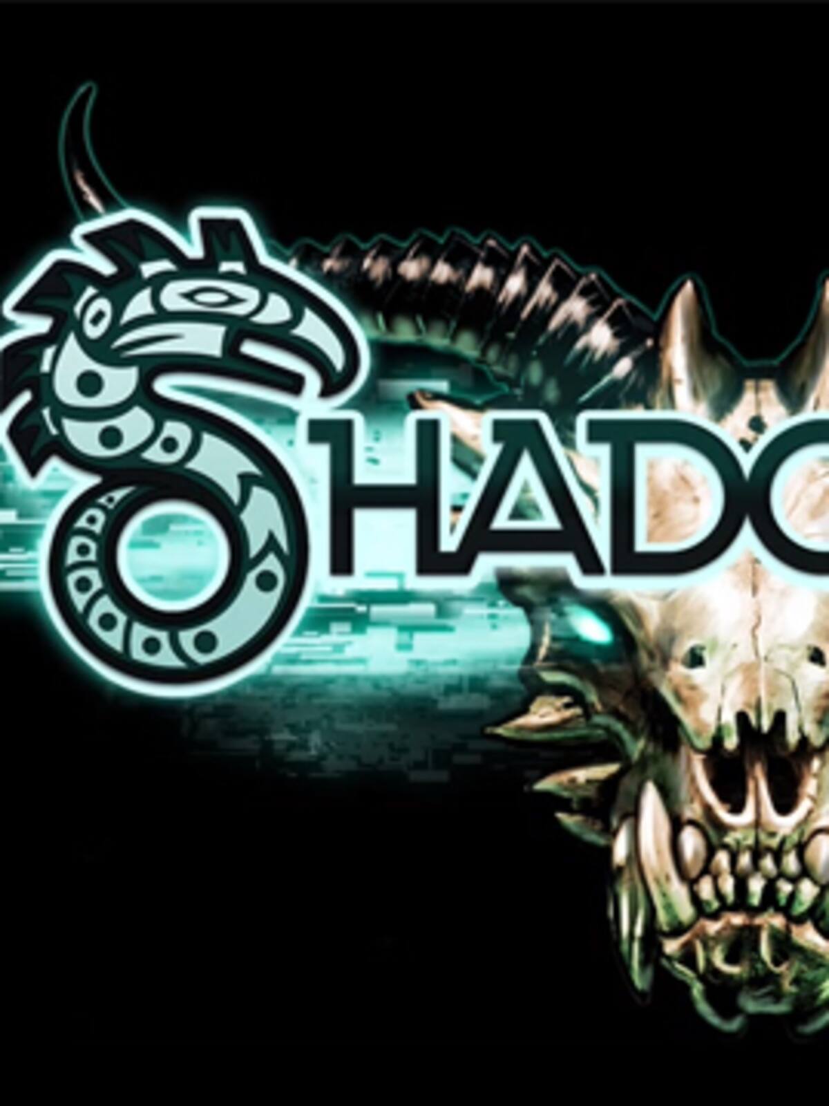 Shadowrun Returns