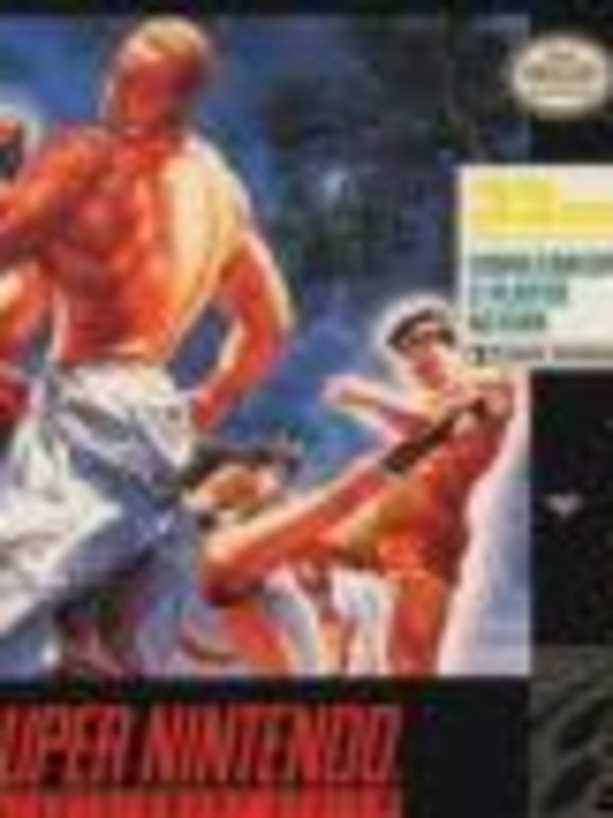 Fatal Fury Special