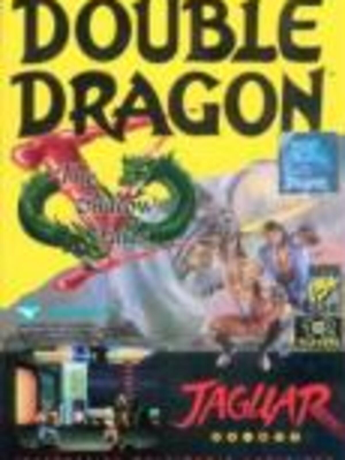 Double Dragon V: The Shadow Falls