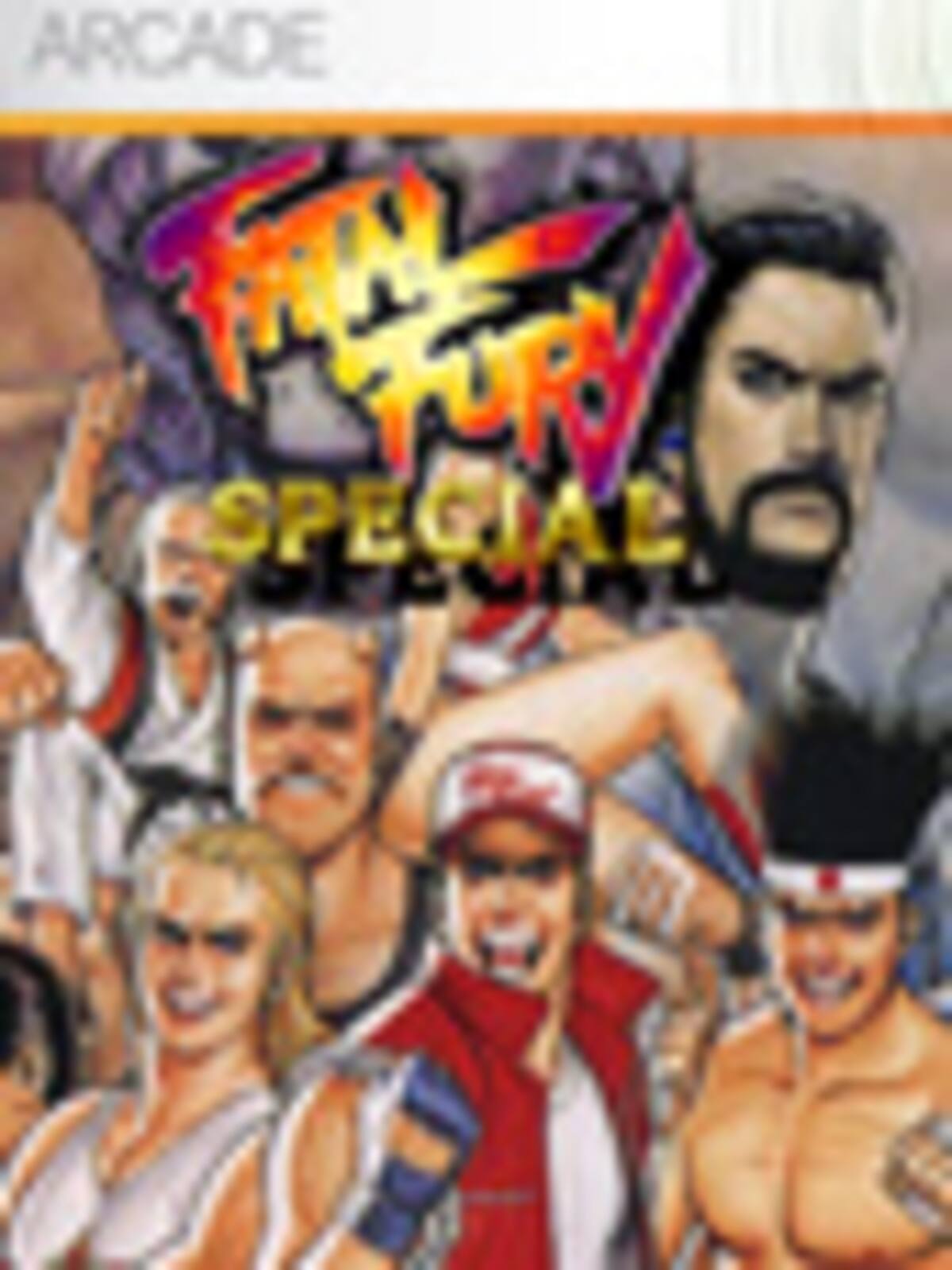 Fatal Fury Special