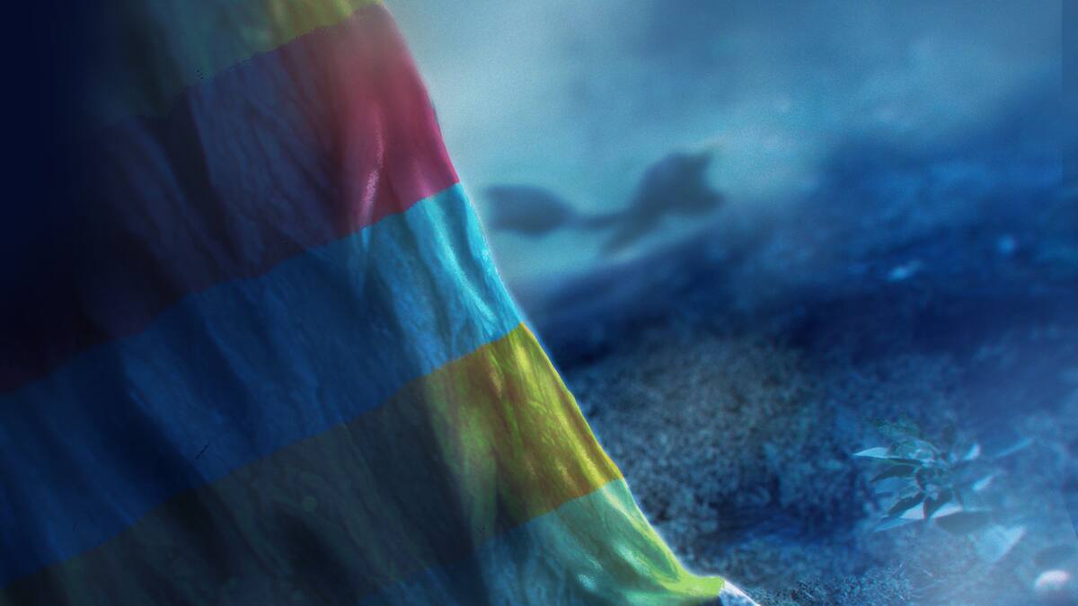 A mysterious track of paint has appeared in Paldea…