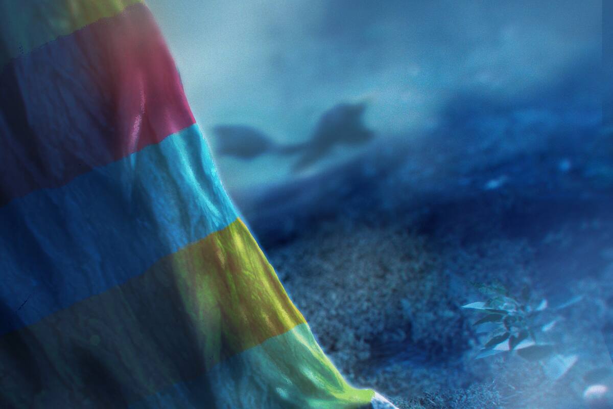 A brand-new creature would arrive in Pokémon Scarlet and Violet